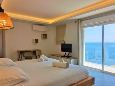 VILLA VUE MER A VENDRE - ANTHEOR - 400 m2 - 3500000€